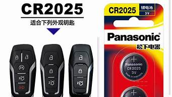 睿翼汽车钥匙电池型号是多少_睿翼汽车钥匙电池型号是多少号